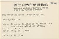 登錄號:B00000504藏品圖，第2張