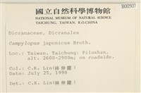 日本曲柄蘚藏品圖，第2張