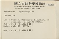 登錄號:B00000513藏品圖，第2張