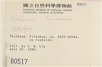 登錄號:B00000517藏品圖，第2張