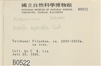 登錄號:B00000522藏品圖，第2張