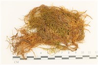 登錄號:B00000526藏品圖，第1張
