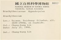 登錄號:B00000527藏品圖，第2張