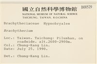 登錄號:B00000529藏品圖，第2張