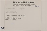 登錄號:B00000547藏品圖，第2張