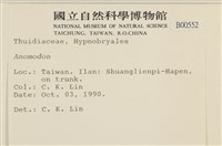 登錄號:B00000552藏品圖，第2張