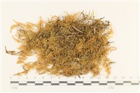 登錄號:B00000565藏品圖，第1張