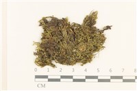 登錄號:B00000572藏品圖，第1張