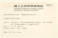 登錄號:B00000574藏品圖，第2張