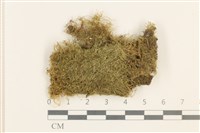 登錄號:B00000574藏品圖，第1張