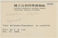 登錄號:B00000598藏品圖，第2張