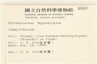 登錄號:B00000620藏品圖，第2張
