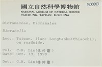 登錄號:B00000663藏品圖，第2張