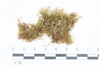 登錄號:B00000663藏品圖，第1張