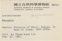 登錄號:B00000745藏品圖，第2張