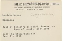 登錄號:B00000746藏品圖，第2張