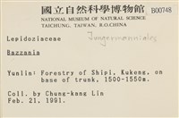 登錄號:B00000748藏品圖，第2張