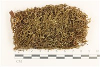 登錄號:B00000748藏品圖，第1張
