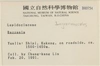 登錄號:B00000754藏品圖，第2張