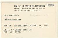 登錄號:B00000780藏品圖，第2張