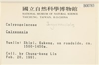 登錄號:B00000783藏品圖，第2張