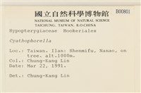 登錄號:B00000801藏品圖，第2張