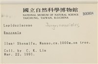 登錄號:B00000804藏品圖，第2張