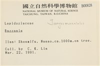 登錄號:B00000828藏品圖，第2張