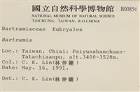 登錄號:B00000854藏品圖，第2張