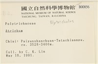 登錄號:B00000856藏品圖，第2張