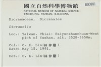 登錄號:B00000881藏品圖，第2張