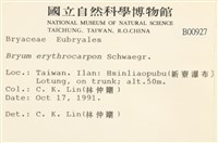 登錄號:B00000927藏品圖，第2張