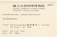 登錄號:B00000937藏品圖，第2張