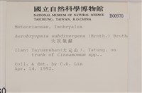 大灰氣蘚藏品圖，第2張