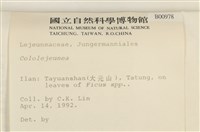 登錄號:B00000978藏品圖，第2張