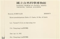 登錄號:B00000979藏品圖，第2張