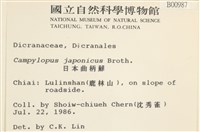 日本曲柄蘚藏品圖，第2張