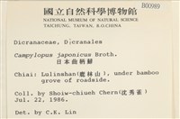 日本曲柄蘚藏品圖，第2張