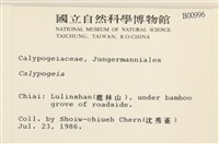 登錄號:B00000996藏品圖，第2張