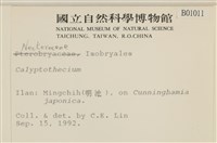 登錄號:B00001011藏品圖，第2張