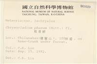 登錄號:B00001029藏品圖，第2張