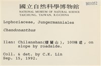 登錄號:B00001052藏品圖，第2張