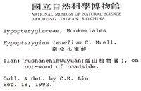 南亞孔雀蘚藏品圖，第2張