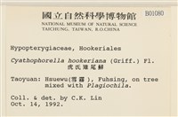 登錄號:B00001080藏品圖，第2張