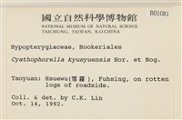 登錄號:B00001081藏品圖，第2張