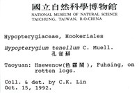 南亞孔雀蘚藏品圖，第2張