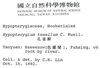 南亞孔雀蘚藏品圖，第2張