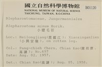 小睫毛苔藏品圖，第2張