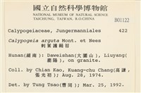 刺葉護蒴苔藏品圖，第2張