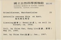 短托柄花萼苔藏品圖，第2張